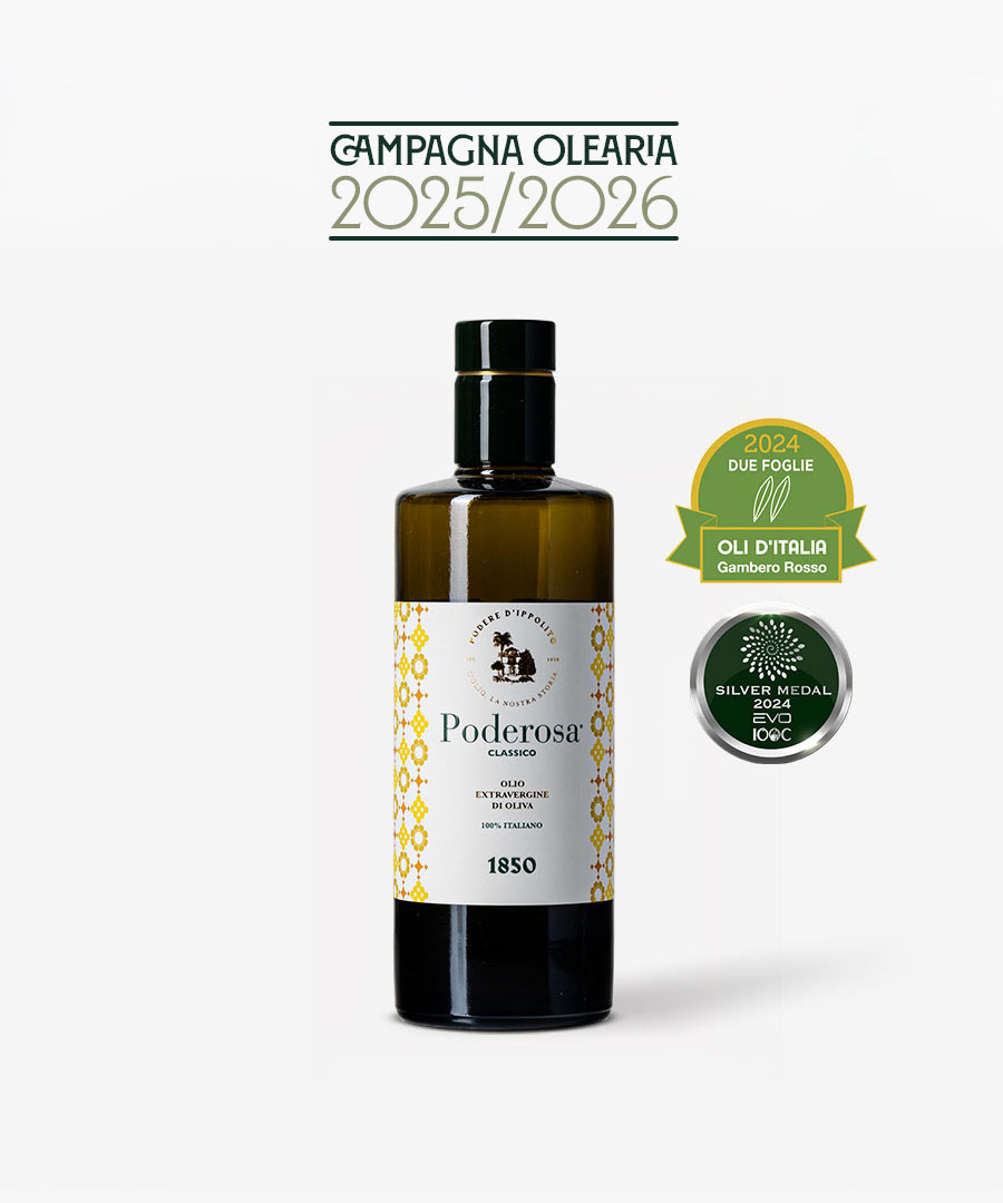 251127-PODEREDIPPOLITO-Website-Classico-500-Fronte