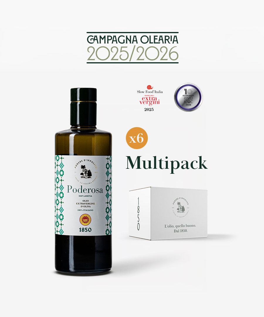 251202-PODEREDIPPOLITO-Website-DOP-500-Multipack-Fronte