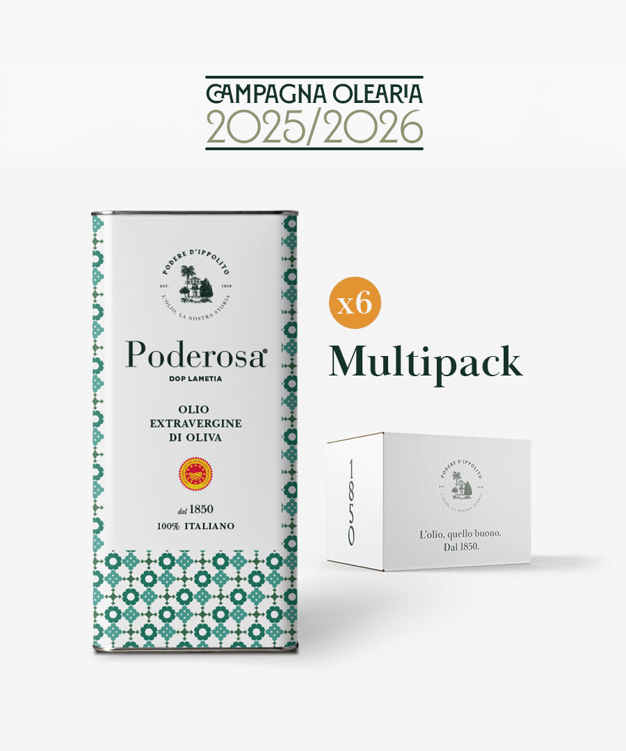 260420-PODEREDIPPOLITO-Website-DOP-5L-MultipackDa6-Fronte